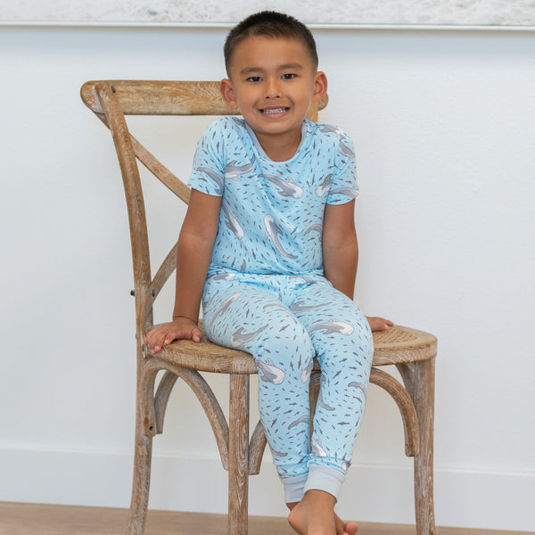 big-kid-pajama-s-s-11 Sweet Bamboo - Sophia's StyleBig Kid PJ S/S-1